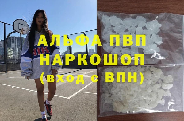 стафф Алексин