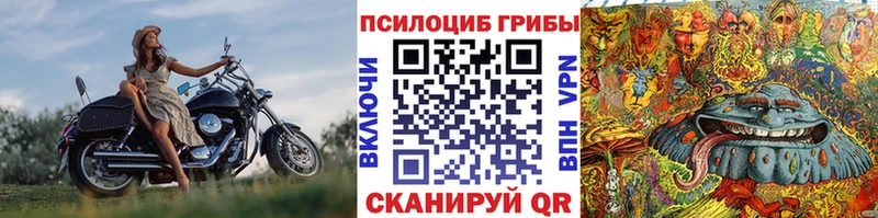 Галлюциногенные грибы ЛСД  где можно купить   Михайловск 