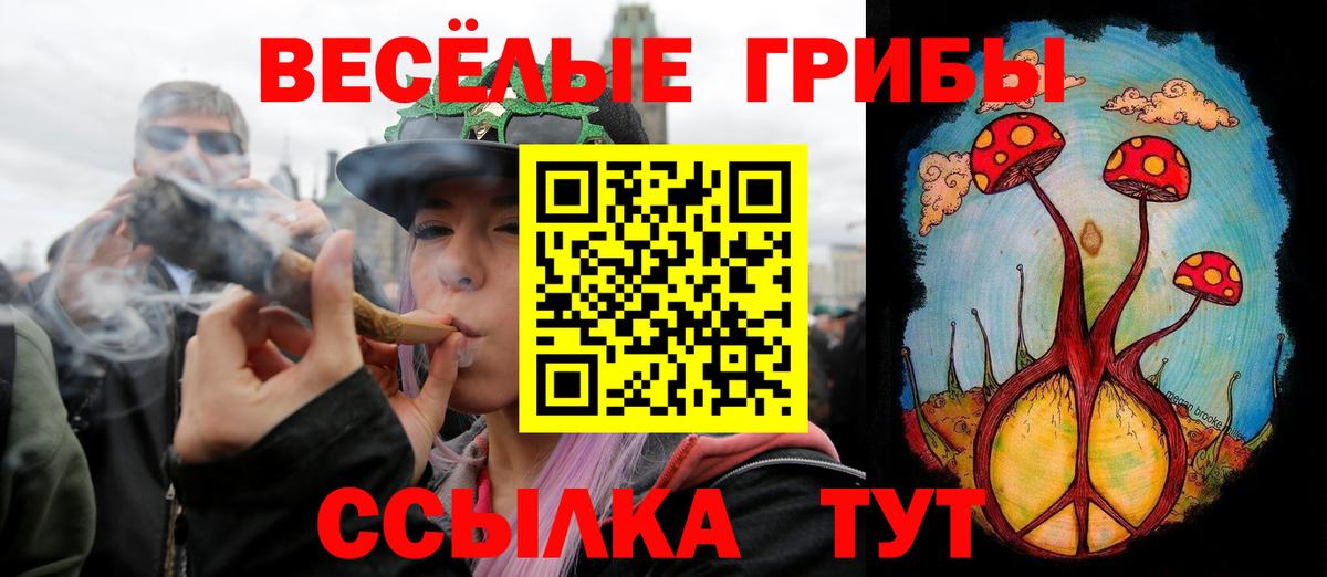 Михайловск  Галлюциногенные грибы Psilocybe  Вход с VPN 